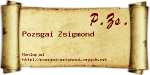 Pozsgai Zsigmond névjegykártya